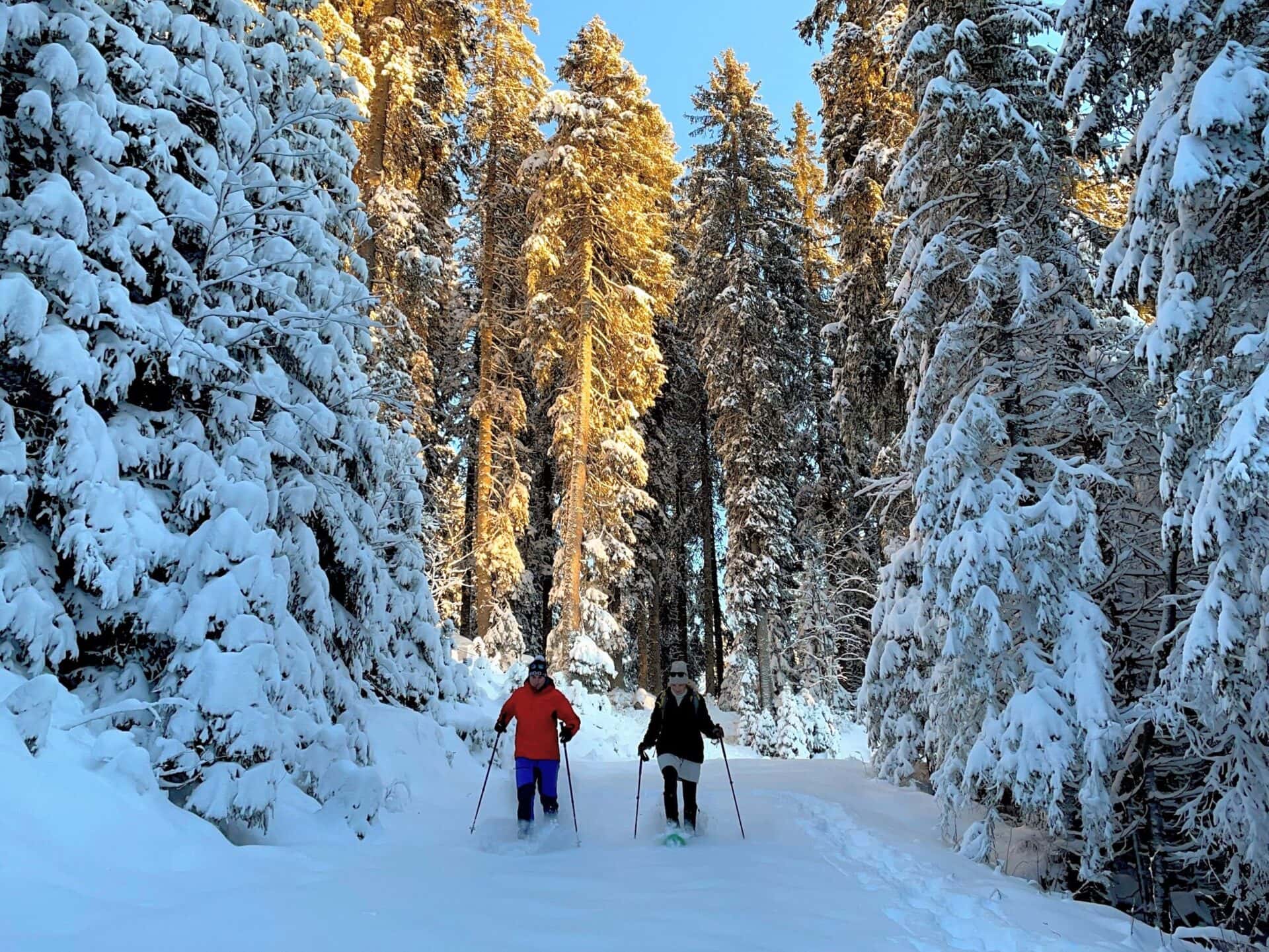 snowshoeing on Pokljuka